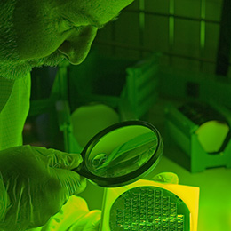 Inspecting slide Inspecting slide