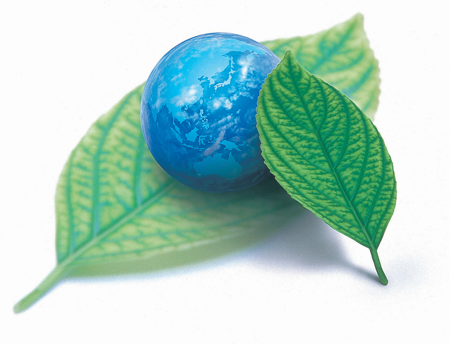 Earth Leaves Earth Leaves