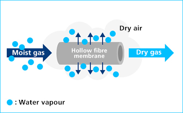 sunsep Water Vapour sunsep Water Vapour