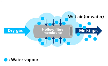 sunsep Water Vapour sunsep Water Vapour