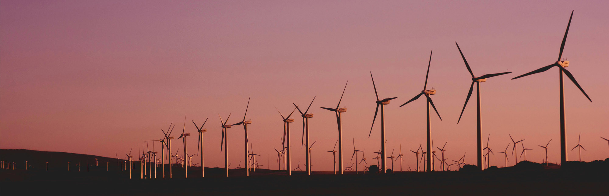 Sustainability